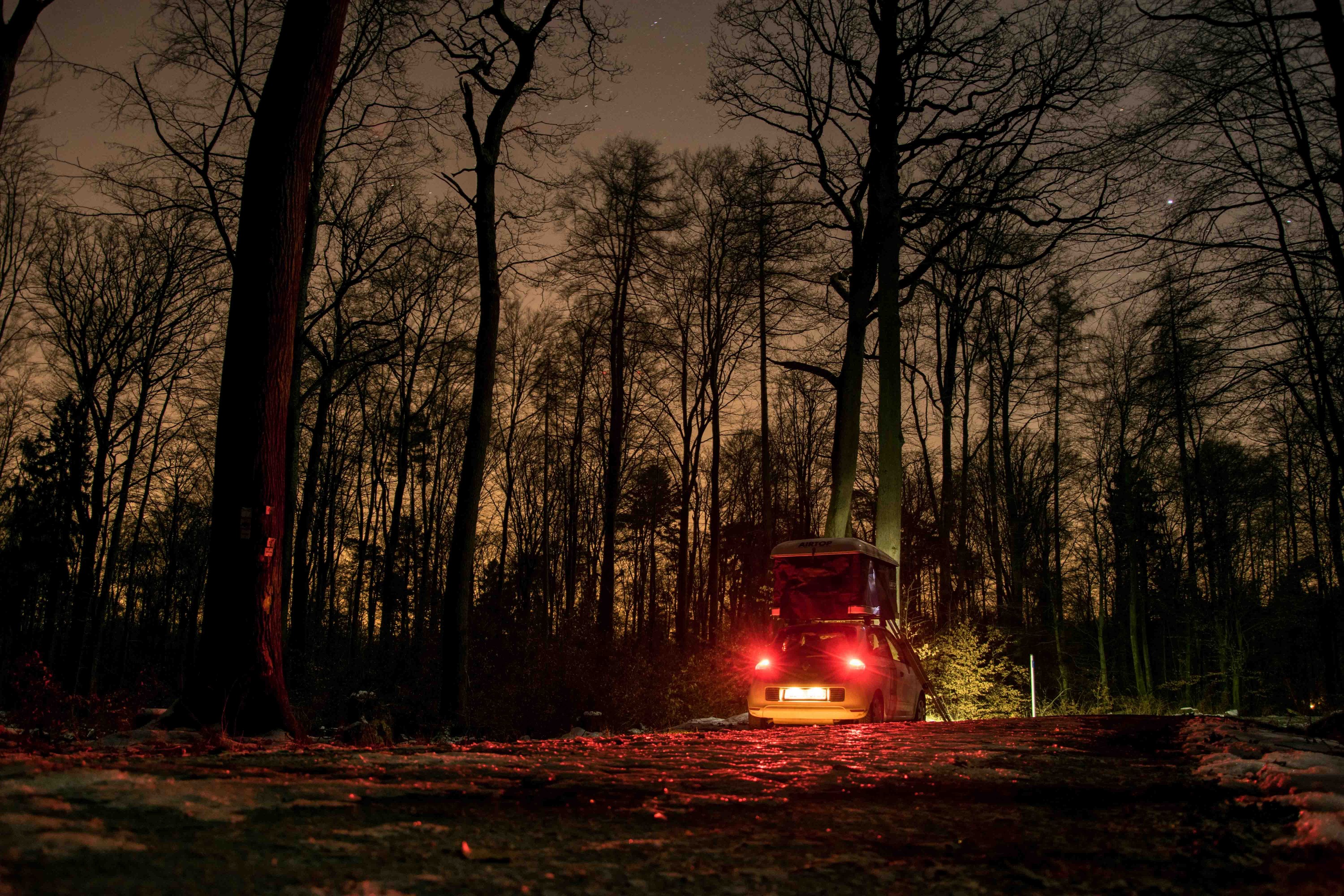 Der Kleine unterm Sternenhimmel im Wald